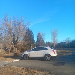 2014 Cadillac Srx