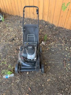 Murray 2-in-1 Gas Push Lawn Mower self propelled