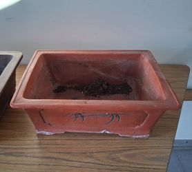 Bonsai Pot-Planter $30 Dlls.