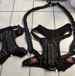Dog harnesses