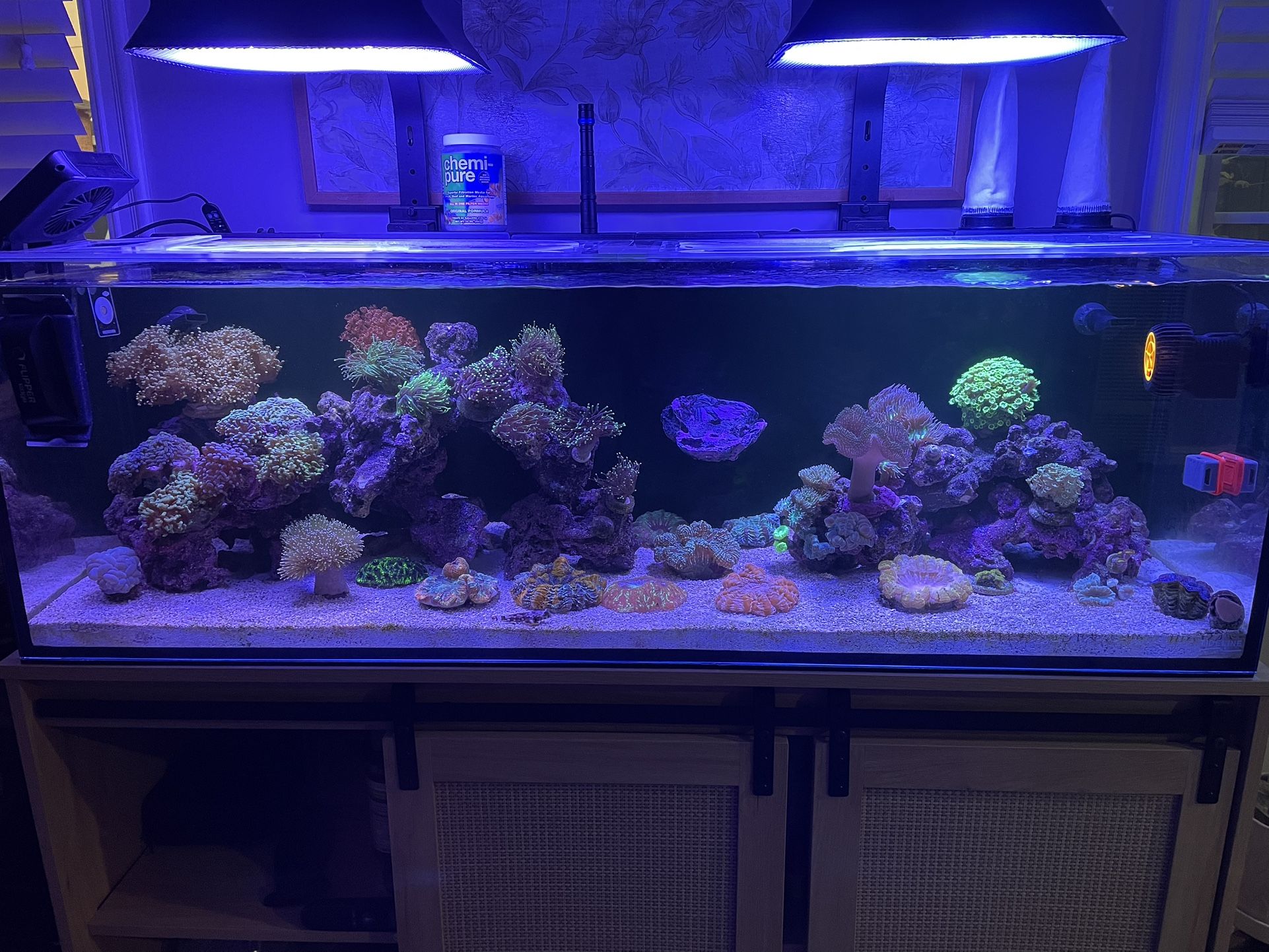 Maxspect MJ-L290 (pair)