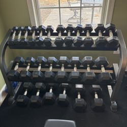 Hampton Dura Bells Urethane Hex Dumbbells