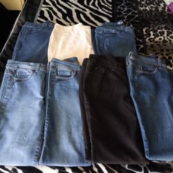 Style & Co Pants Bundle 