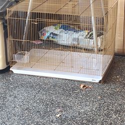 Bird Cage 