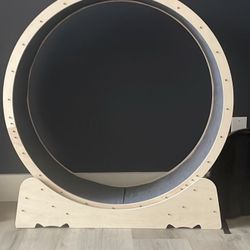 Cat Exercise Wheel