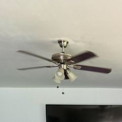 Hampton Bay Ceiling Fans