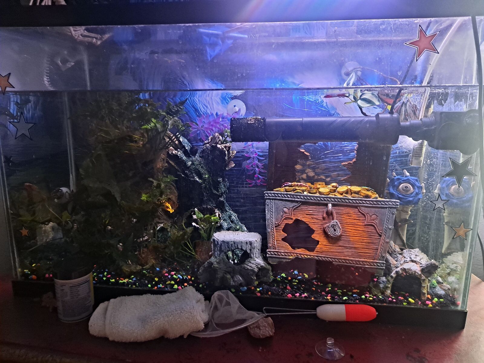 35 Gallon Fish Tank