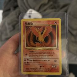 Moltres 1995 27/62