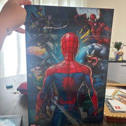 Spider-Man wall art