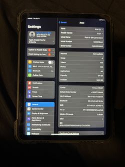 iPad Air and Apple Watch