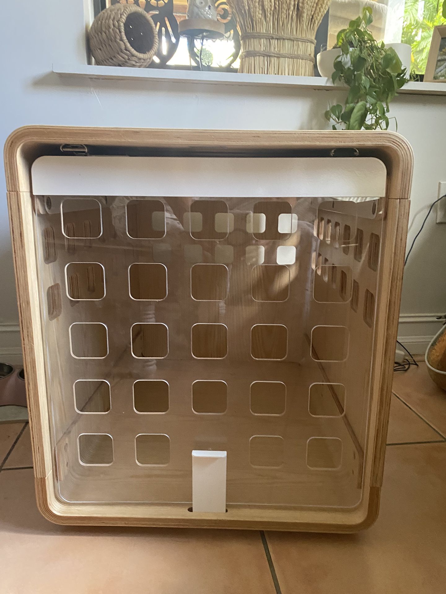 Wooden Dog Crate With Collapsible Door