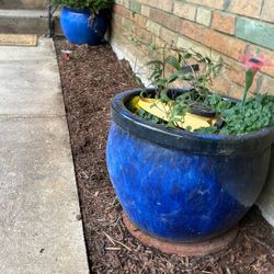  Planting Pots. Large 