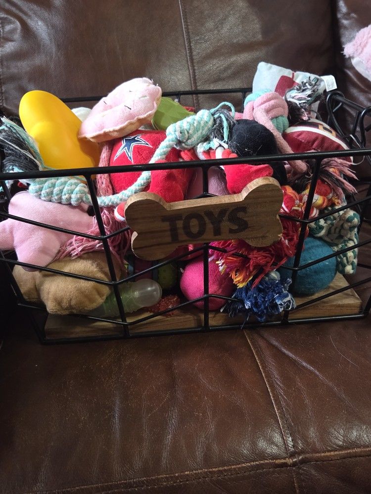 Cute puppy dog basket plus toys 
