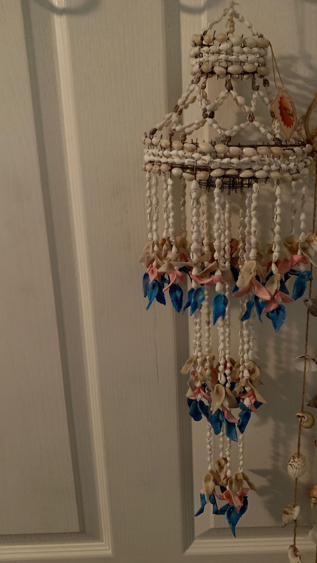 Sea shell Wind shine