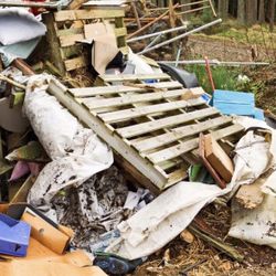 $ Remove All Junk $ F RE E   E S T I MA T E S 