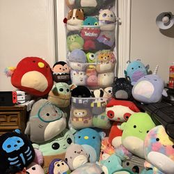 Squishmallows 