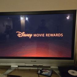 48 In Plasma Tv