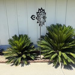 Palm Trees 