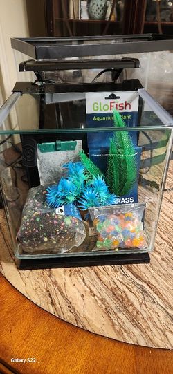 3 Gallon GloFish Tank Kit 
