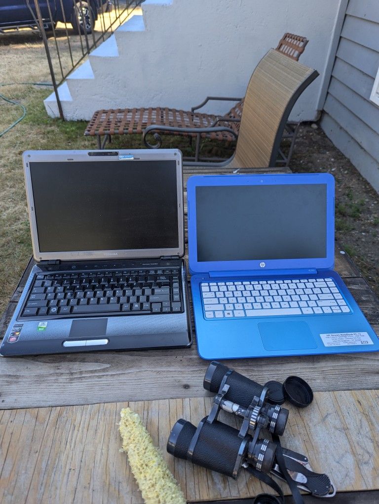 Toshiba And Hewlett-Packard Laptop