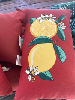 Brand new outdoor pillows