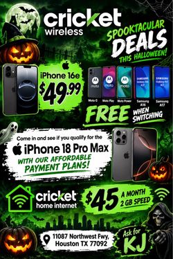 Cricket Wireless 290