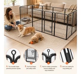 Dog fence