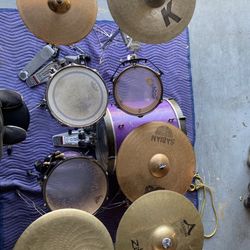 Purple Drum Shells (Dark Horse)