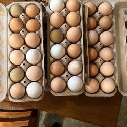 Farm Fresh Eggs 