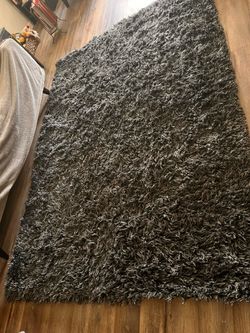 Dania shag rug
