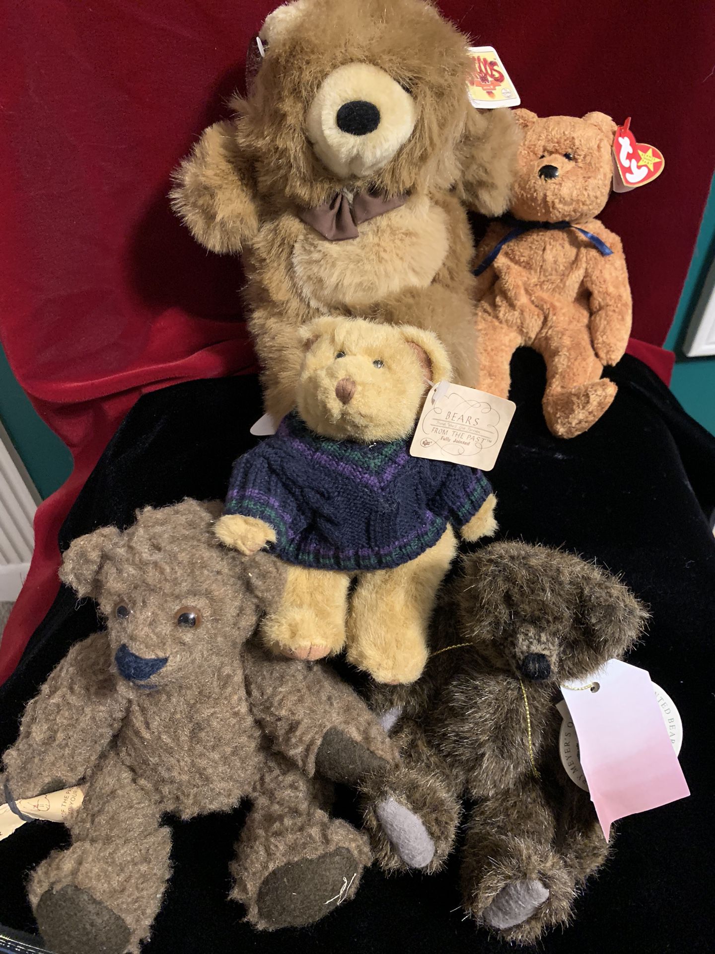 Five Collectible Teddy Bears 🧸