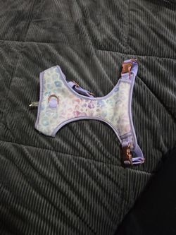 Small Dog Harness