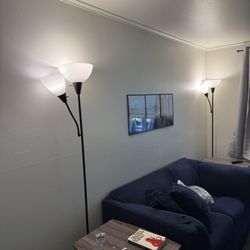 2 Floor Lamps In Excellent Condition. Dual Bulbs.