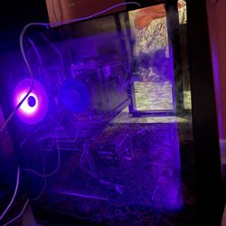 Gaming Pc And 144hz Monitor