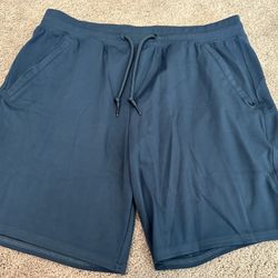 Men’s Navy Athletic Shorts (Large)