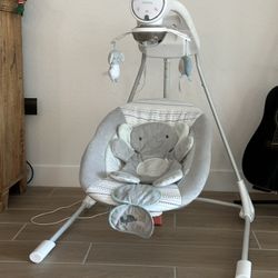 Baby Swing