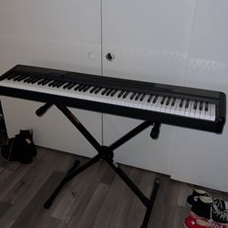 Casio Cdp - 100