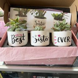 Valentines Gifts 🎁 15.00