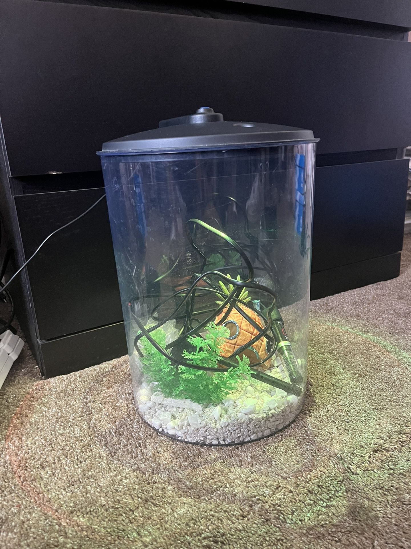 3 Gallon Fish Tank