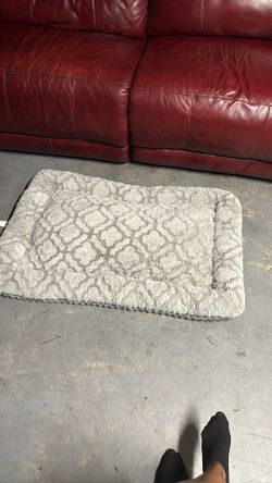 Dog Bed Cat Bed