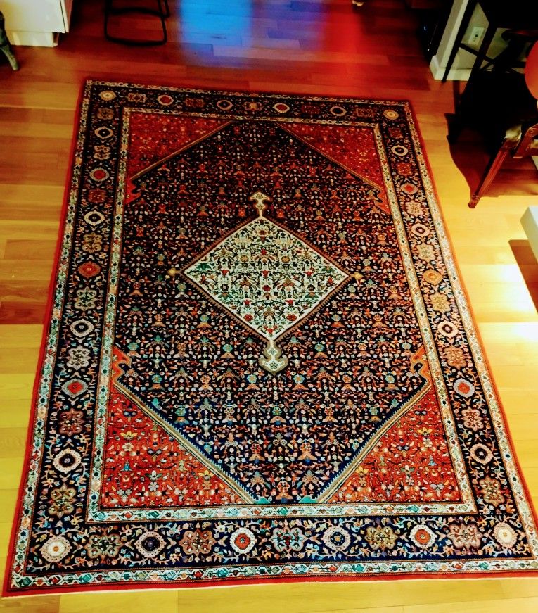 Persian Bidjar tekab 7'x10' Woven Wool Traditional Area Rug