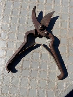 Vintage garden pruning chears