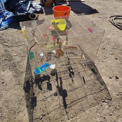 Two Bird Cages For The Price Of One