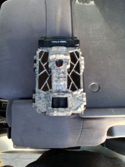Trail Cam