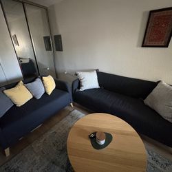 Living Room Set ( Sofa and Loveseat)