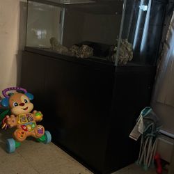 75 Gallon With Stand  
