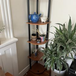 Corner Shelf 