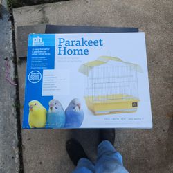Parakeet Home