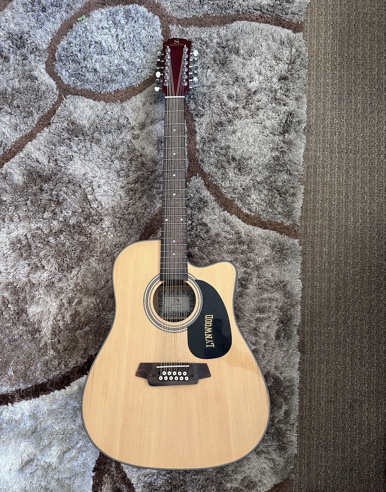 Guitarra 12 Cuerdas / 12 String Guitar 