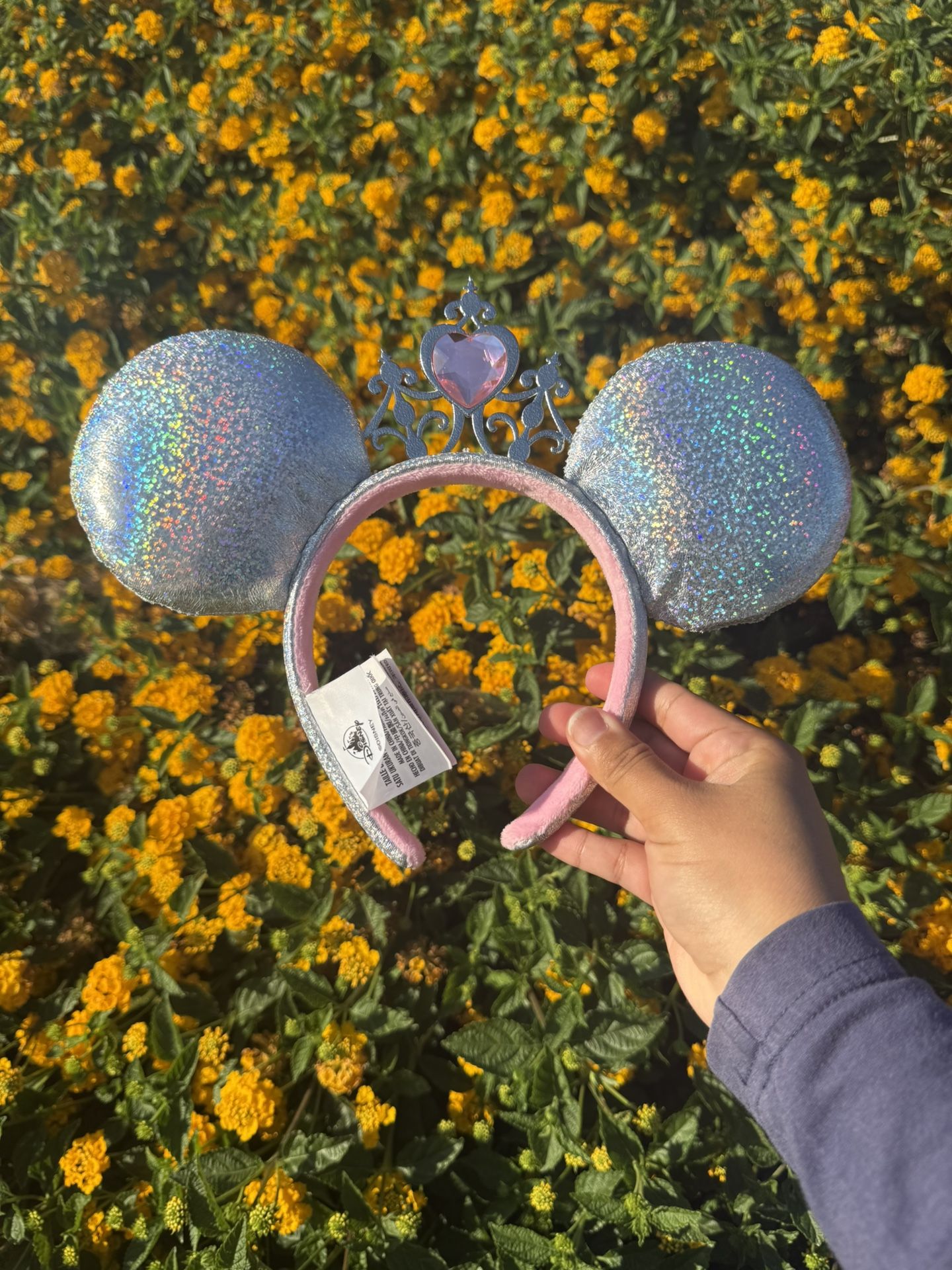 Disney Ears
